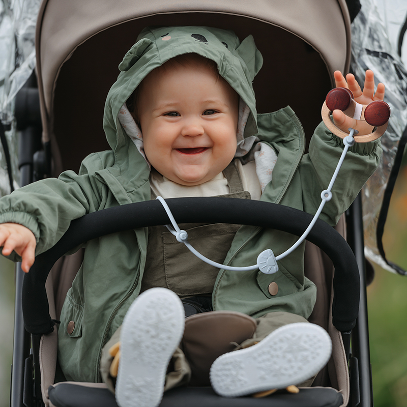 Silicone Toys Straps for Teeth - đánh giá và giá Baby Food Pacifier